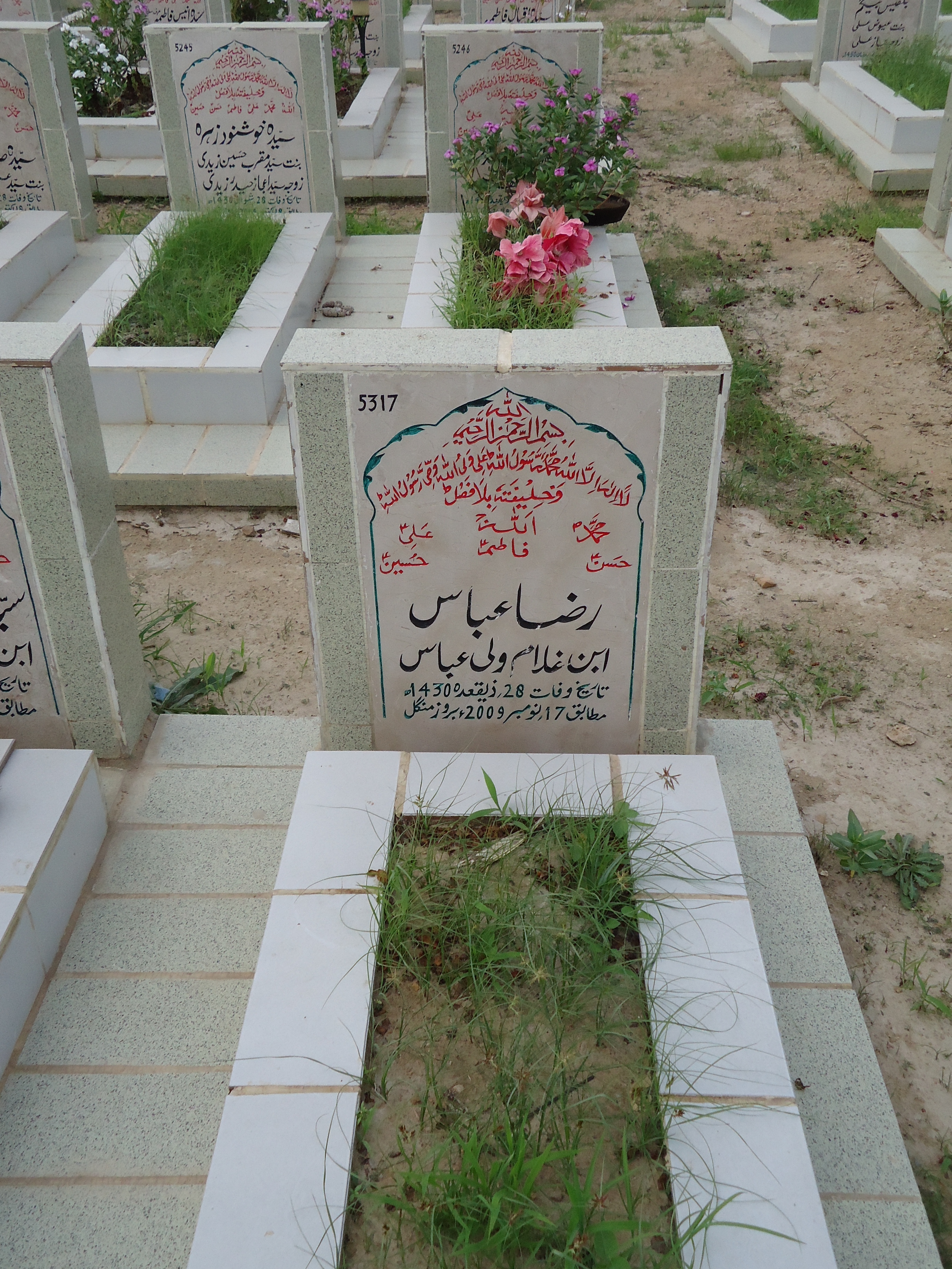 5317 – Raza Abbas